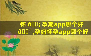 怀 🐡 孕期app哪个好 🌴 ,孕妇怀孕app哪个好